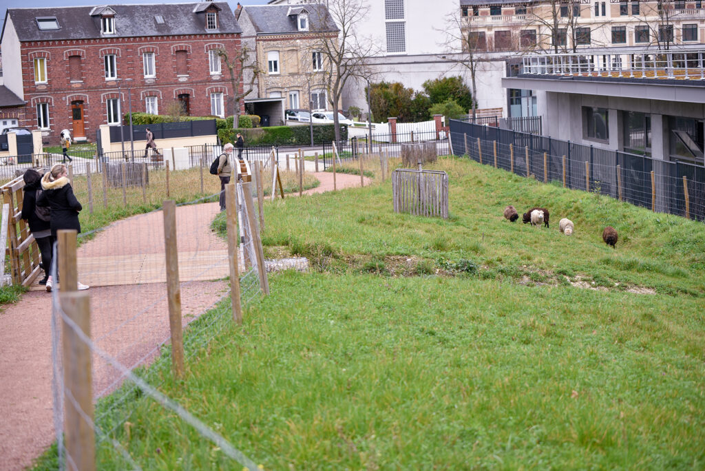 Agrandir l'image, fenêtre modale