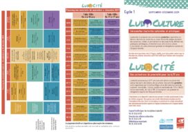 Agrandir l'image, fenêtre modale