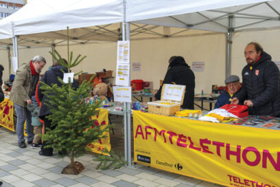 Agrandir l'image, fenêtre modale